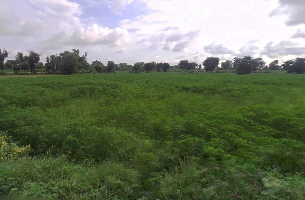 2HG4+C5C, RJSH 23, Bokauli, Rajasthan 321404, India