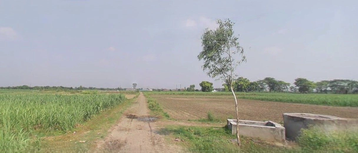Budhana, Uttar Pradesh 251309, India