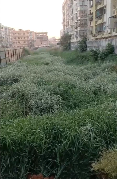 R K Puram, Patna, Bihar 801503, India
