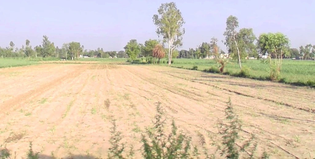 Hakkanipura, Madhya Pradesh 456006, India