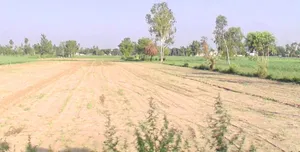 Hakkanipura, Madhya Pradesh 456006, India preview 3