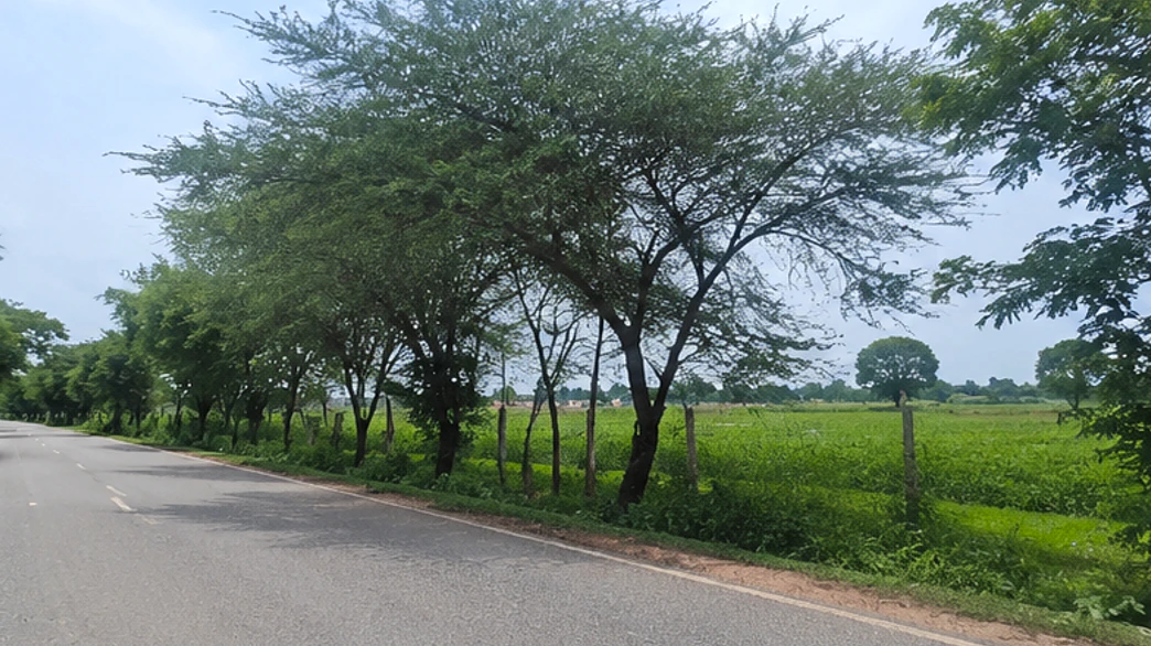 Kharkhoda, Sonipat, Haryana 131402, India