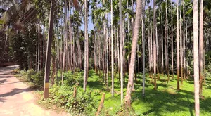 Belthangady, Karnataka 574214, India preview 3