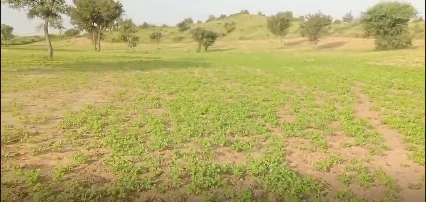 6P45+48 Parkal, Hanumakonda, Telangana, India - Photo 2