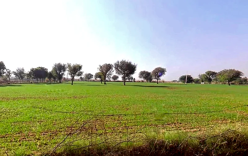 todi mod, A-5/26 new, Sikar Rd, transport nagar, Jaipur, Rajasthan 303805, India preview 2