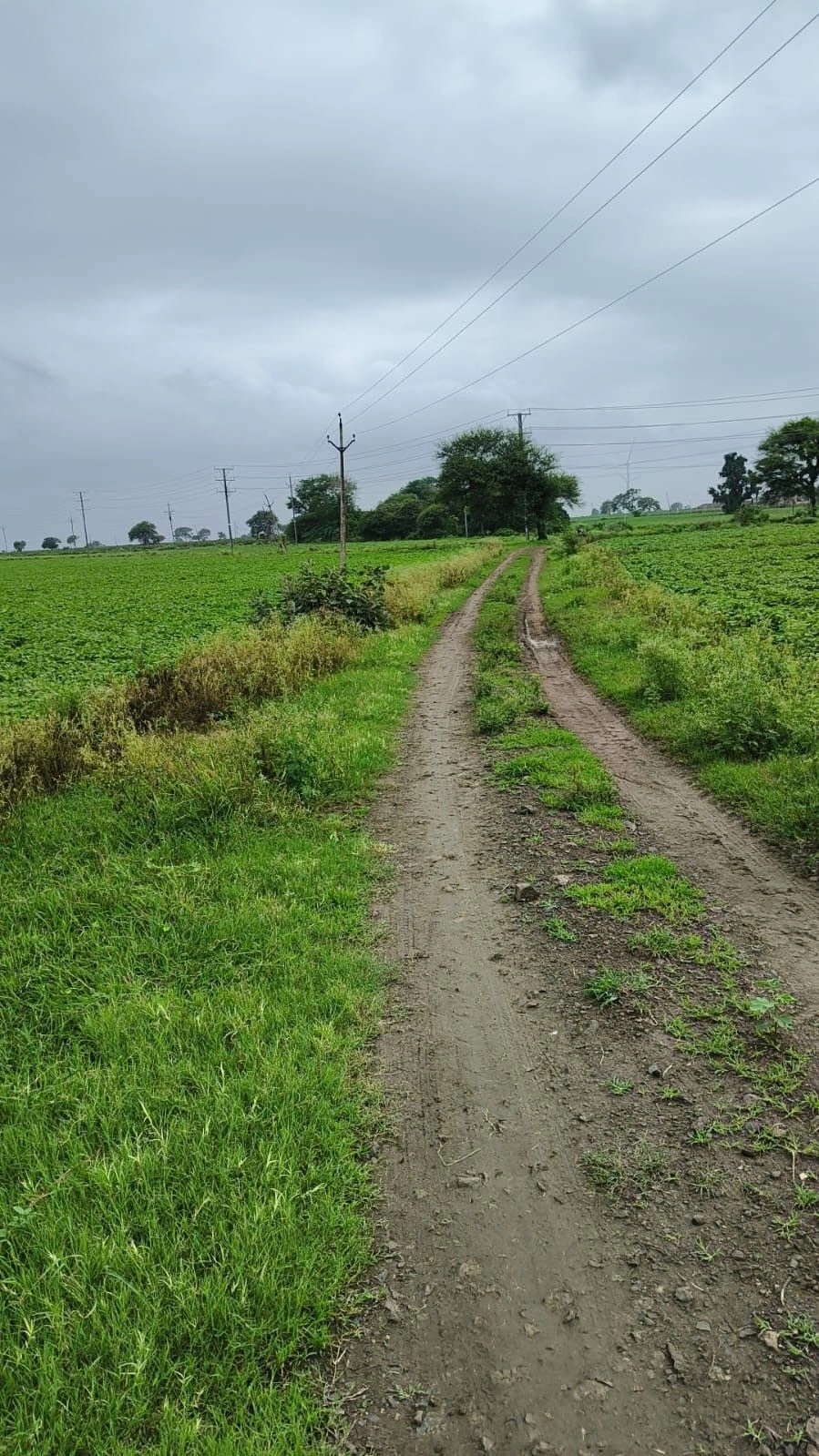 83P7+QCR, Ratlam, Sura Khedi, Madhya Pradesh 457001, India