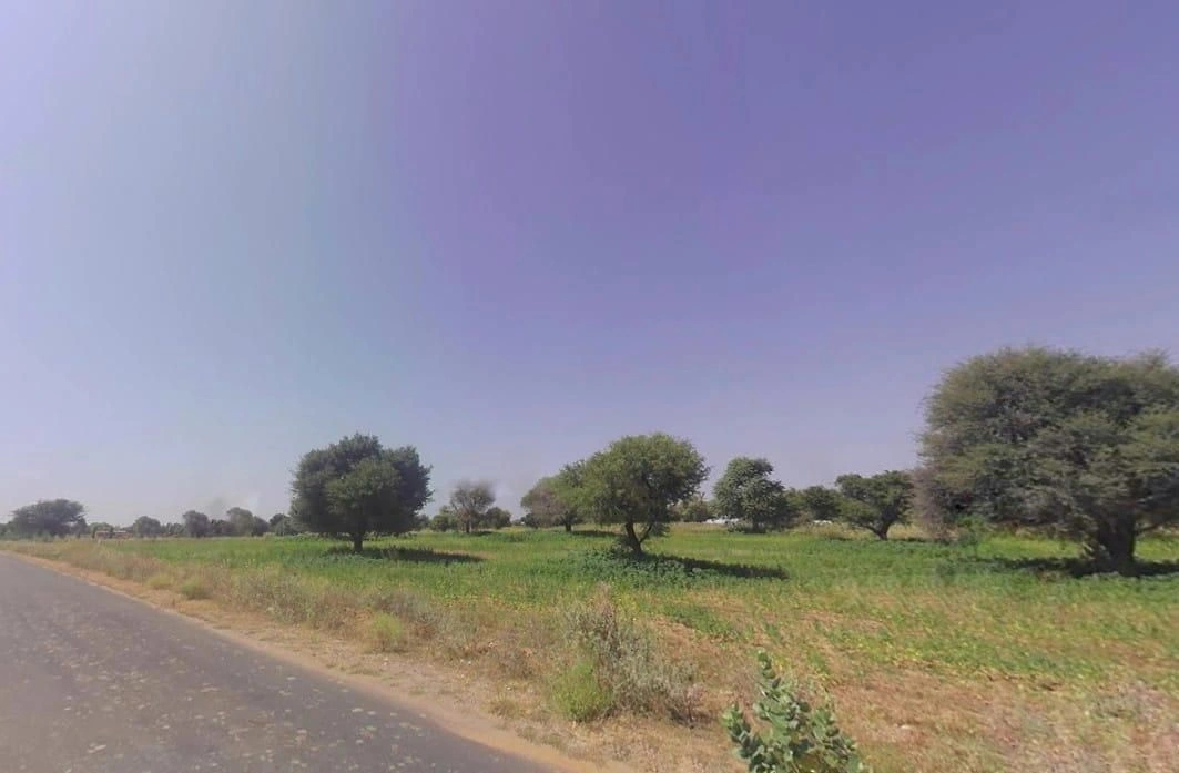 Khatoo, Rajasthan 332602, India preview 3