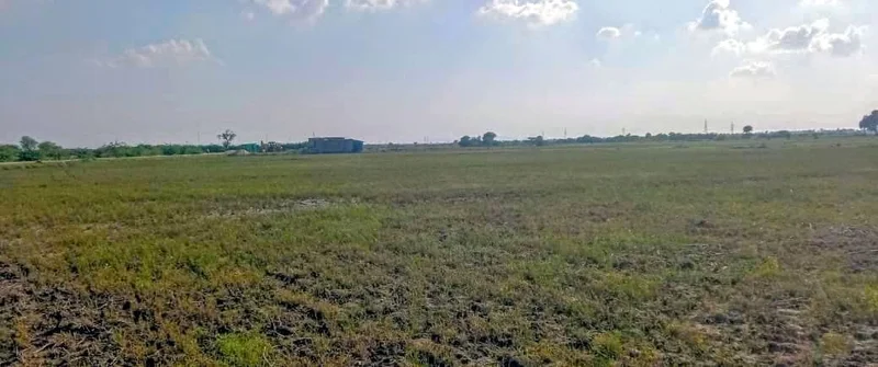 Dodwari, Rajasthan 304001, India preview 3