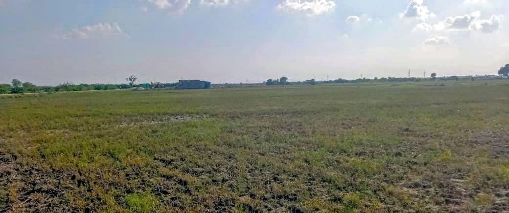 Dodwari, Rajasthan 304001, India