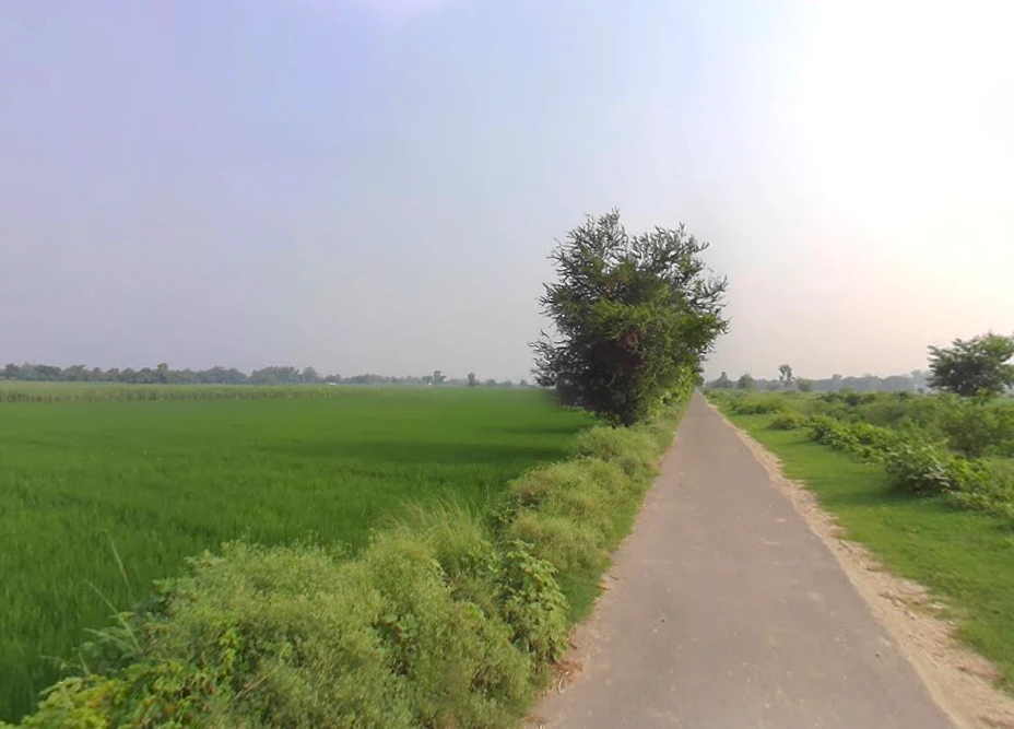 Bisalpur, Uttar Pradesh 262201, India