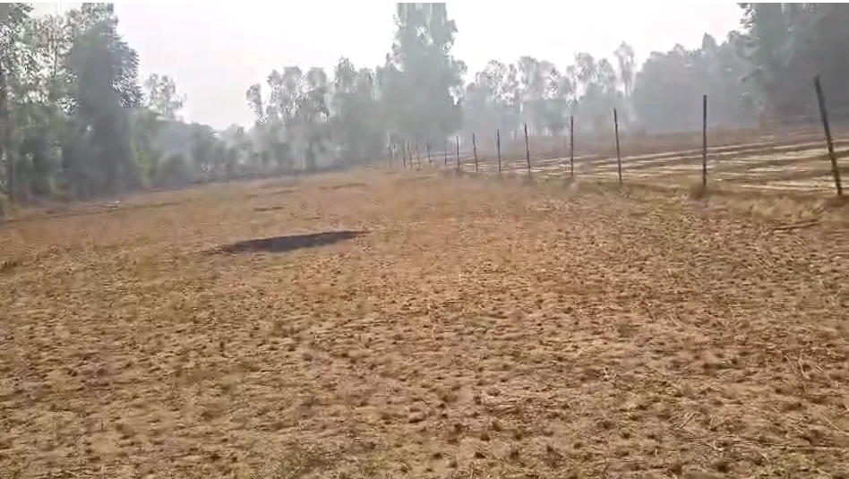Bichalkha, Barabanki, Uttar Pradesh 225001, India