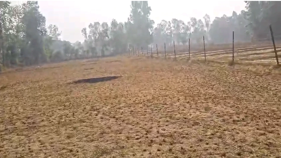 Bichalkha, Barabanki, Uttar Pradesh 225001, India - Photo 3