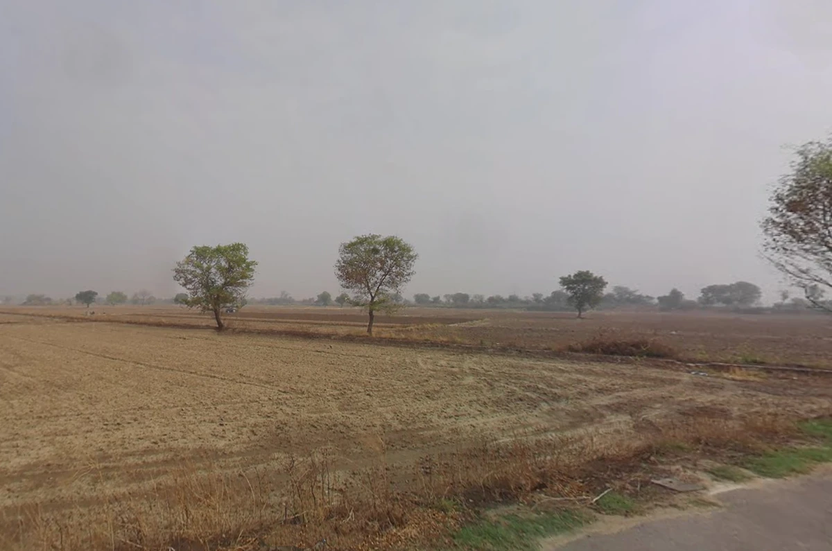 Sampla, Haryana 124501, India