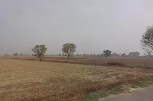 Sampla, Haryana 124501, India preview 3