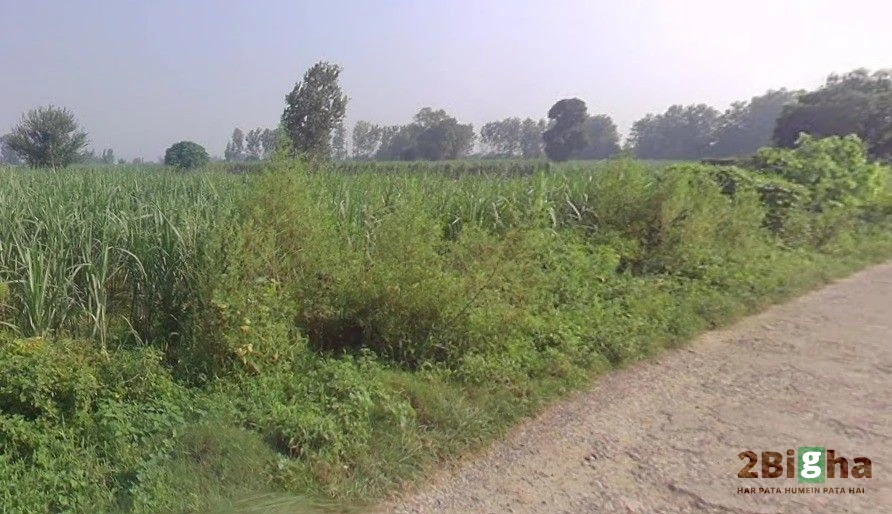 Pithlokar, Uttar Pradesh 250342, India