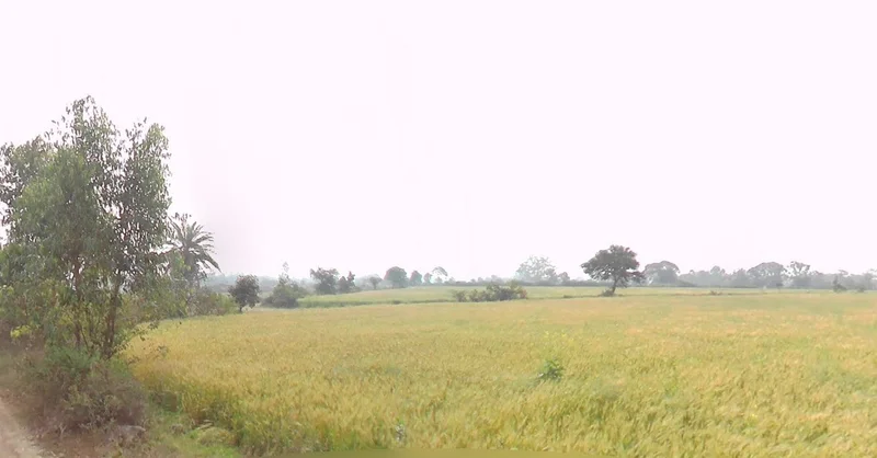 C8X8+HVC, Unida, Madhya Pradesh, India preview 2