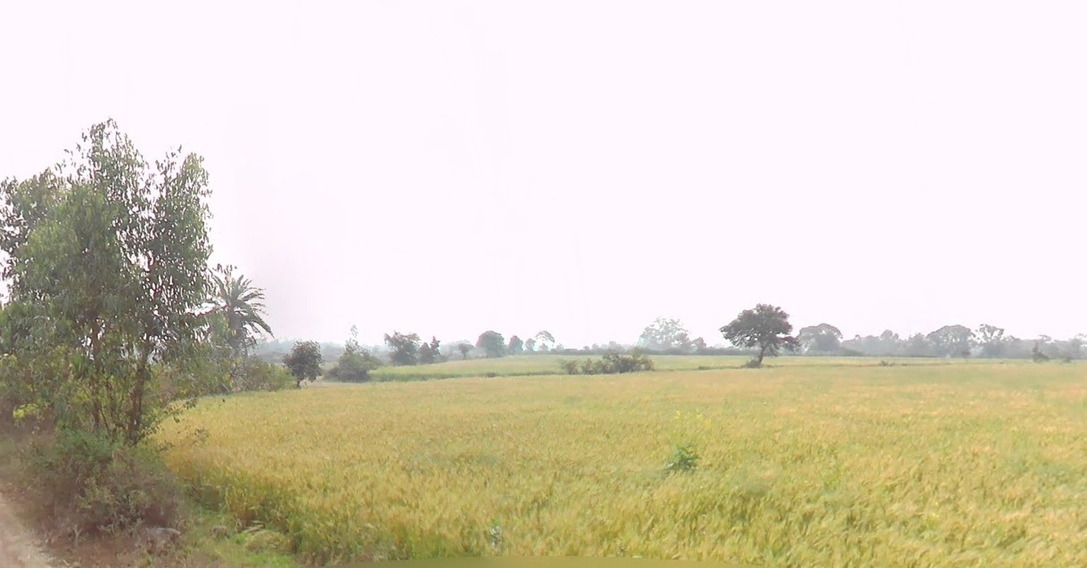 C8X8+HVC, Unida, Madhya Pradesh, India