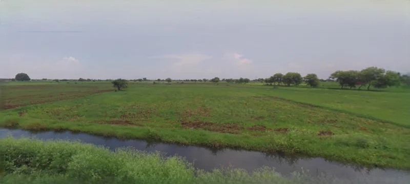 Agar, Madhya Pradesh 465441, India preview 3