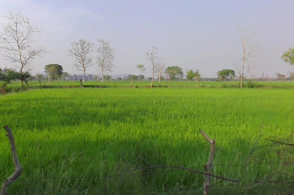 Odka, Chhattisgarh 493441, India