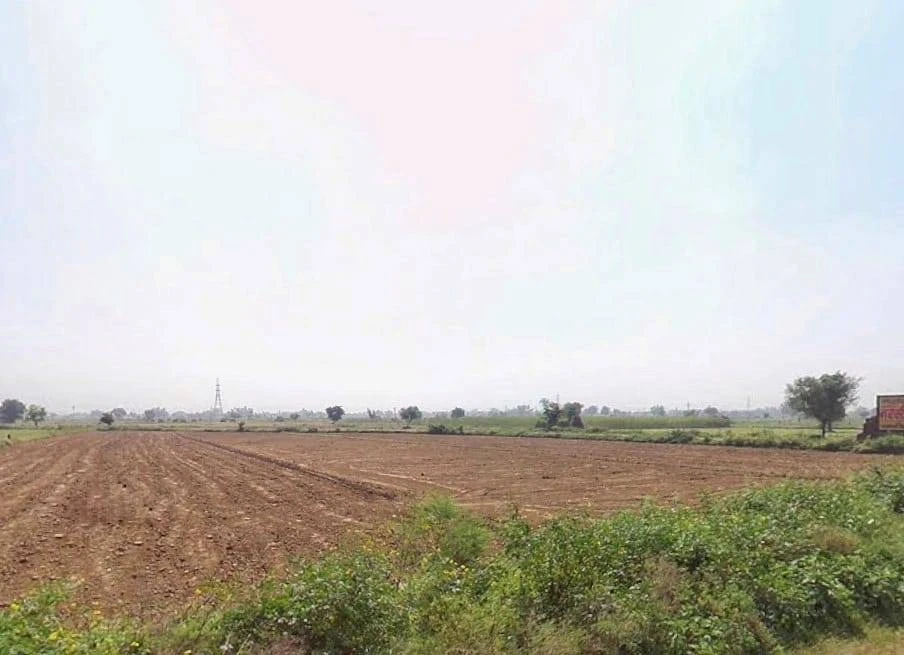 629R+5GV, Badangarhi, Rajasthan 321606, India