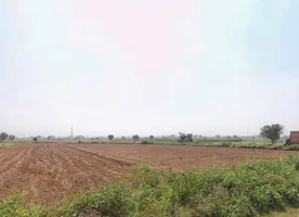 629R+5GV, Badangarhi, Rajasthan 321606, India preview 2