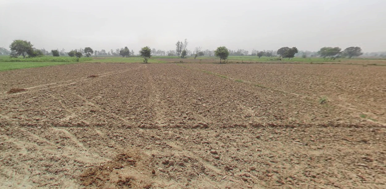 Butana, Haryana 131302, India