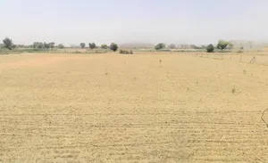 Darbaripur, Sector 75, Gurugram, Haryana 122101, India preview 3