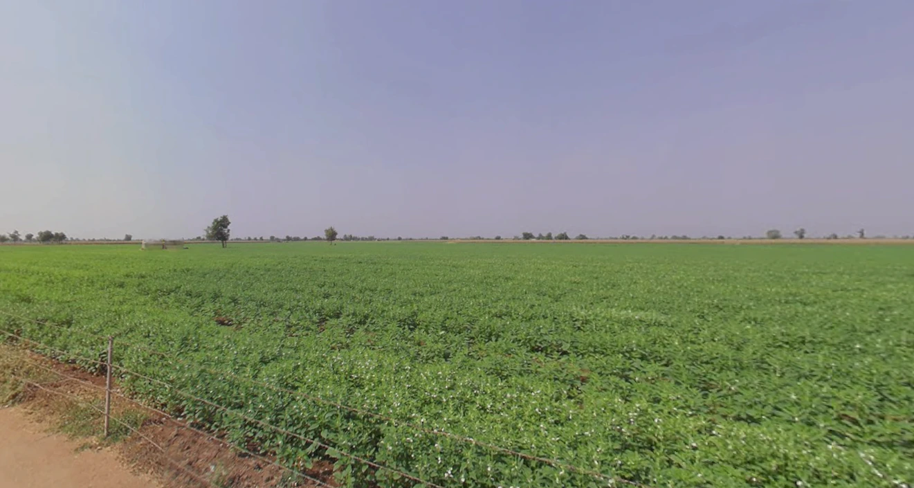 Mahabaleshwar, Maharashtra 412806, India