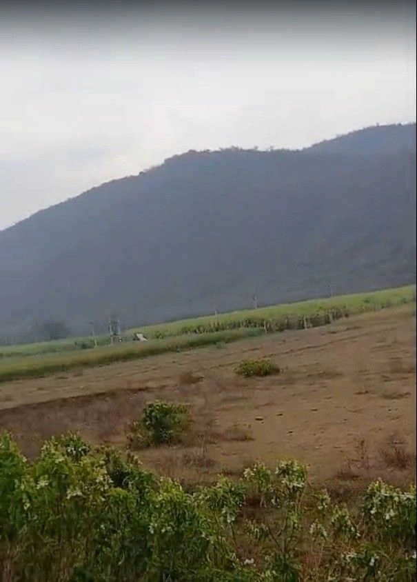 PJ7R+WW Jhadoli, Rajasthan, India preview 3