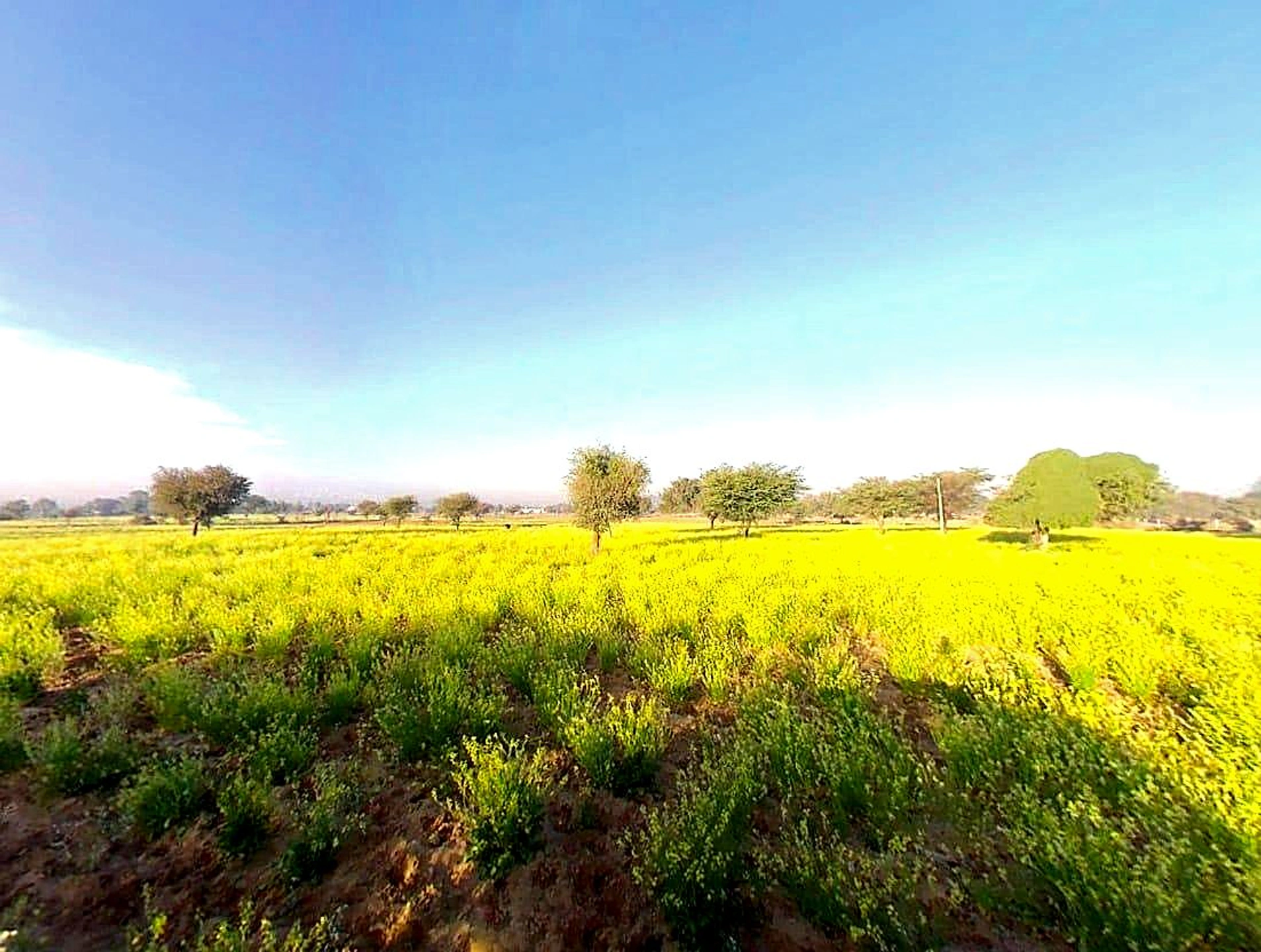 Khejrawas, Rajasthan 303124, India