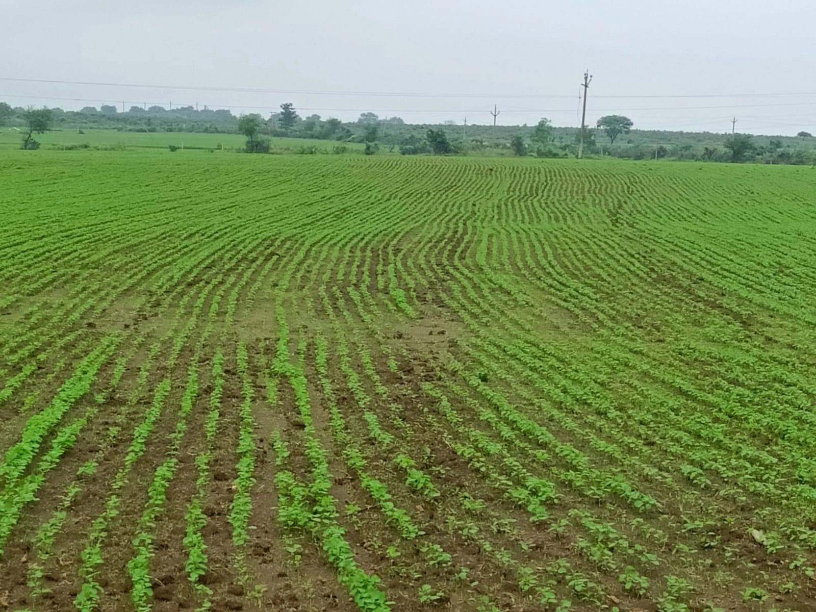 Sironj, Madhya Pradesh 464228, India preview 4