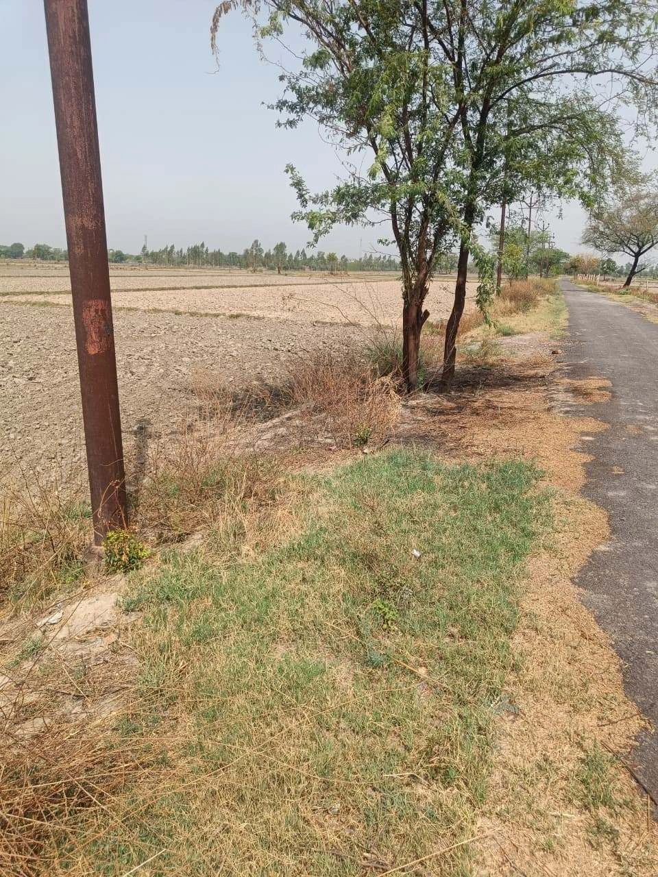 Aou, Rajasthan, India