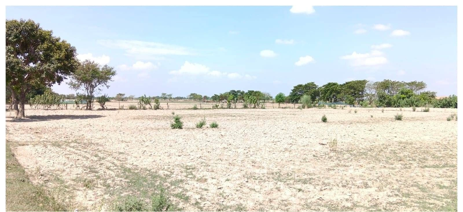QX2G+5F Sohawal, Uttar Pradesh, India