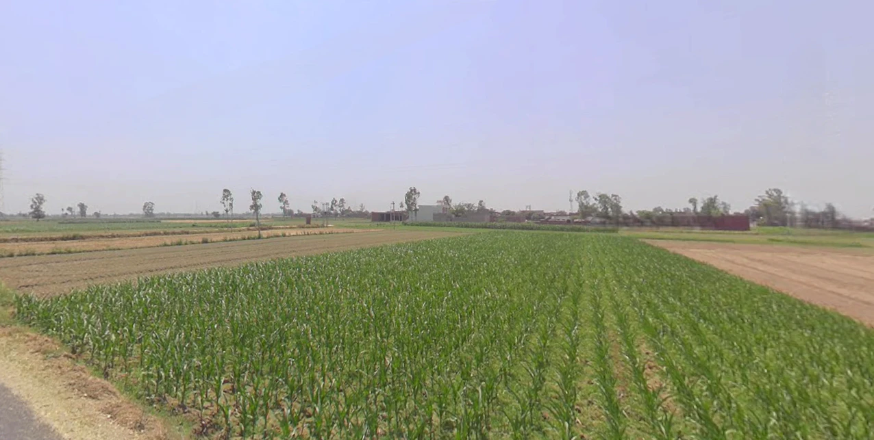 Thakurdwara, Uttar Pradesh 244601, India