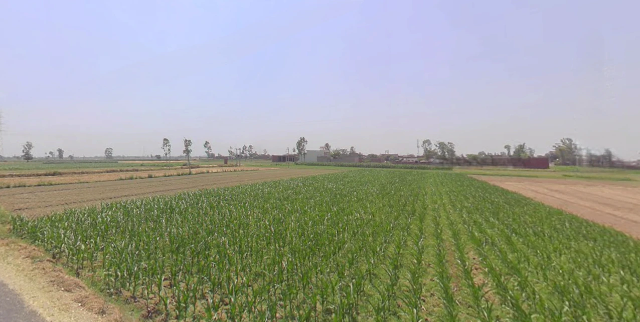 Thakurdwara, Uttar Pradesh 244601, India