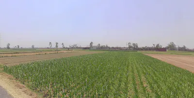 Thakurdwara, Uttar Pradesh 244601, India preview 2