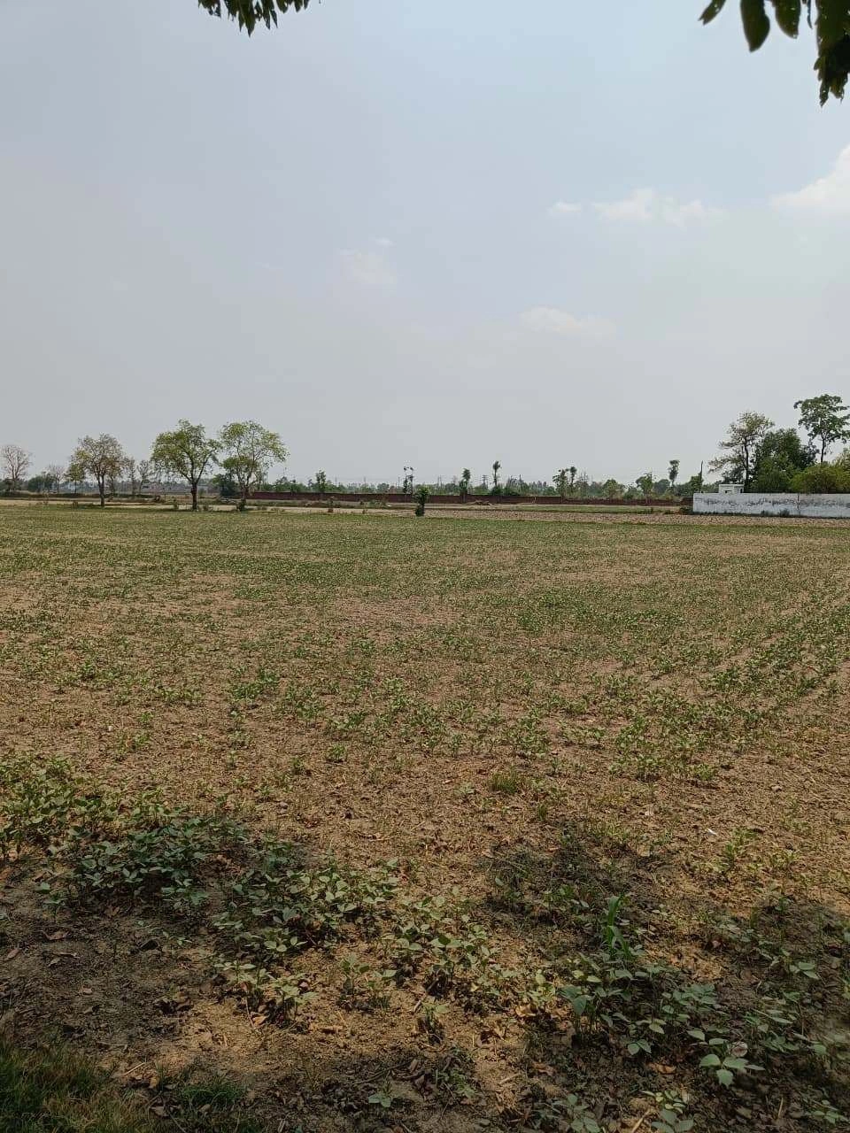 Gharwari, Rajasthan 321201, India
