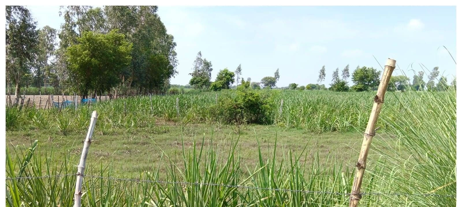 P7F2+7Q Sirisanda, Ayodhya, Uttar Pradesh, India
