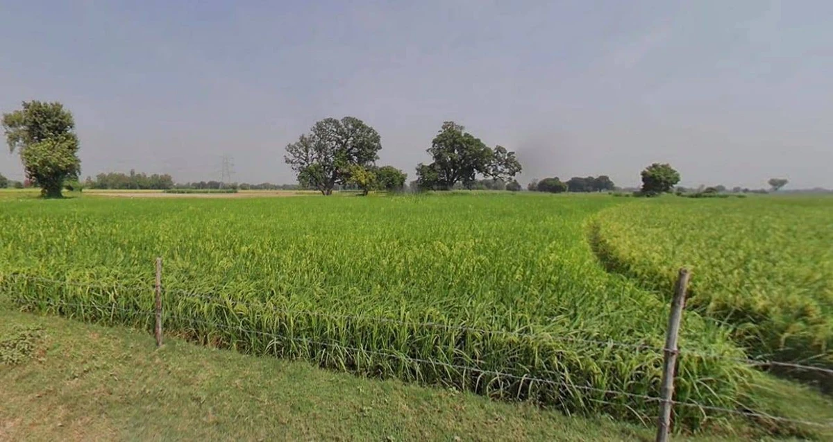 Jaisalmer, Rajasthan 345001, India