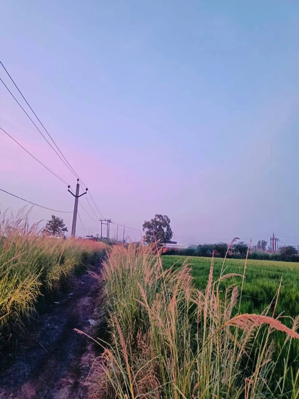 Bukharari, Mathura, Uttar Pradesh, India