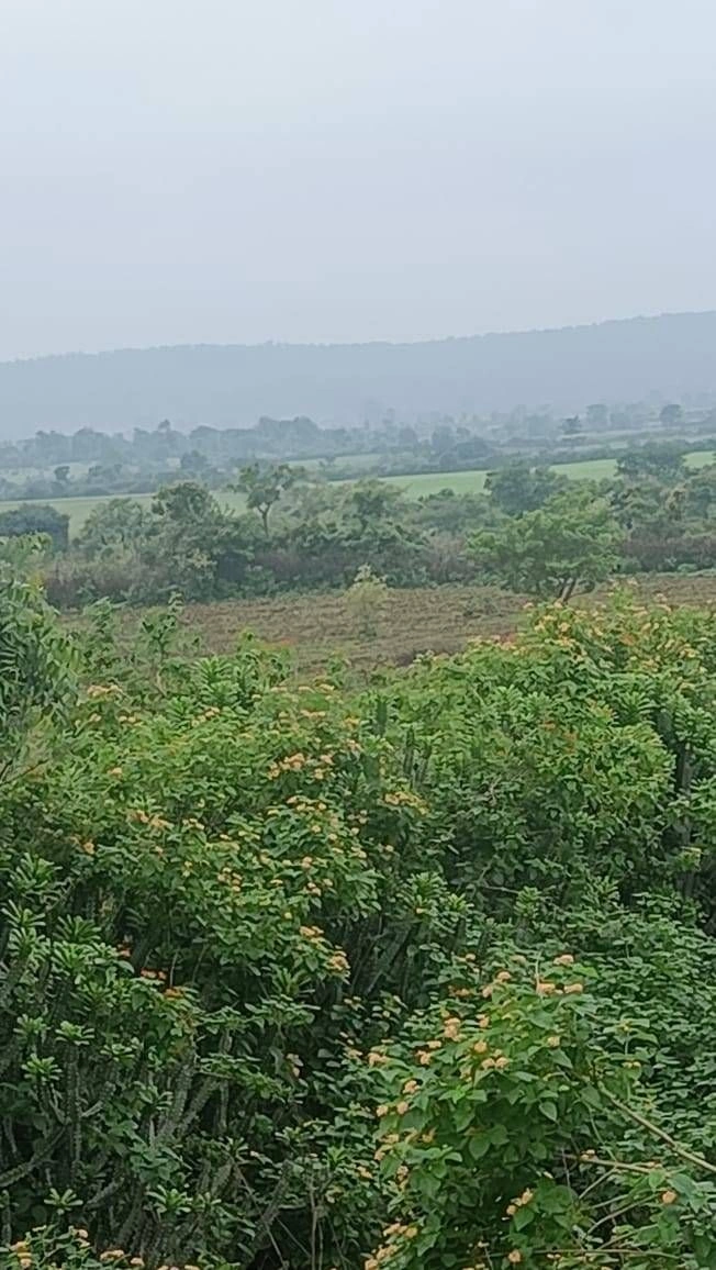 MVW3+6HQ, Mubarikpur, Rajasthan 301025, India