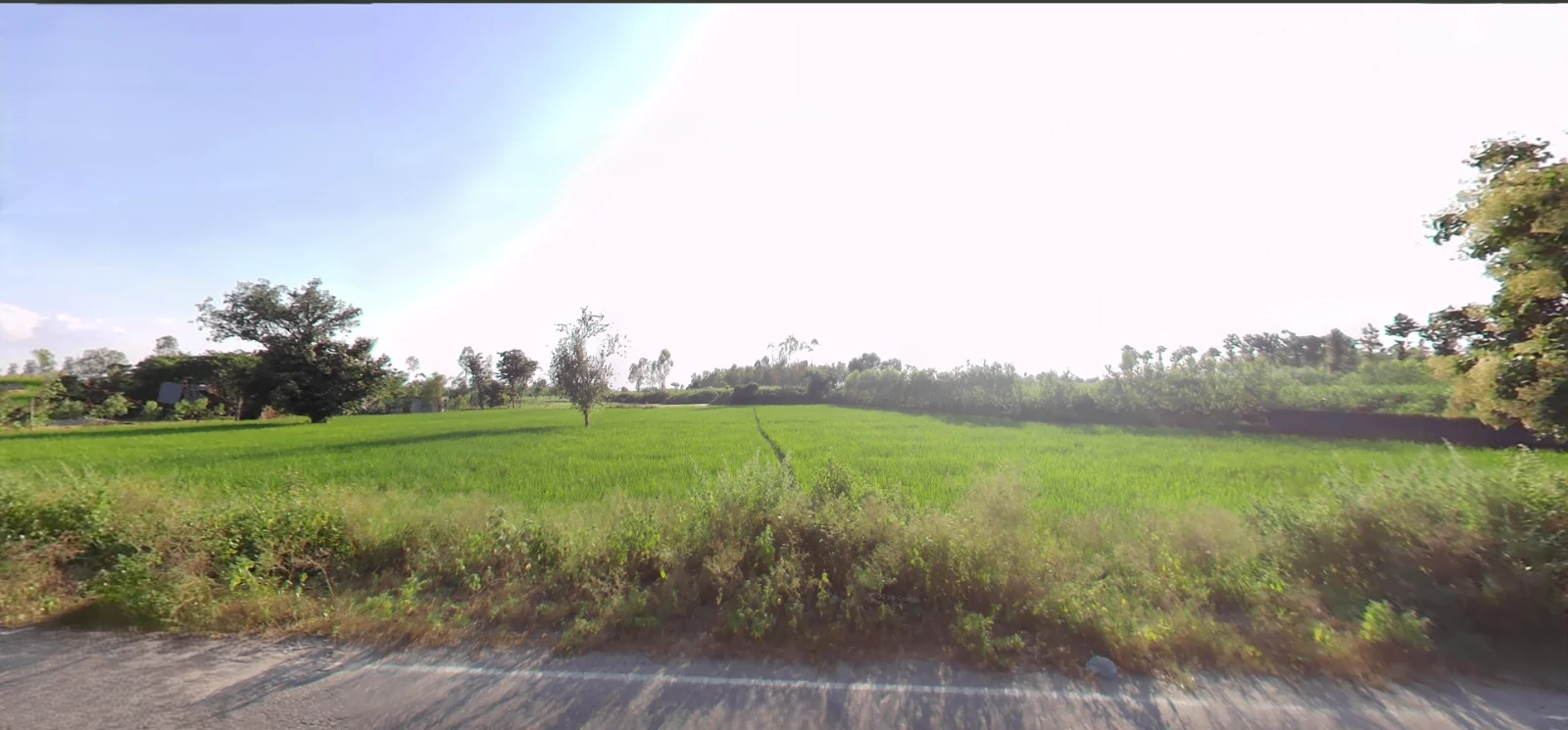 Biharigarh, Uttar Pradesh 247662, India preview 3