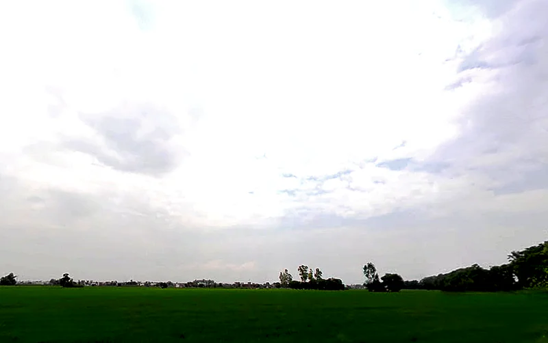 Rajpura, Punjab, India preview 3