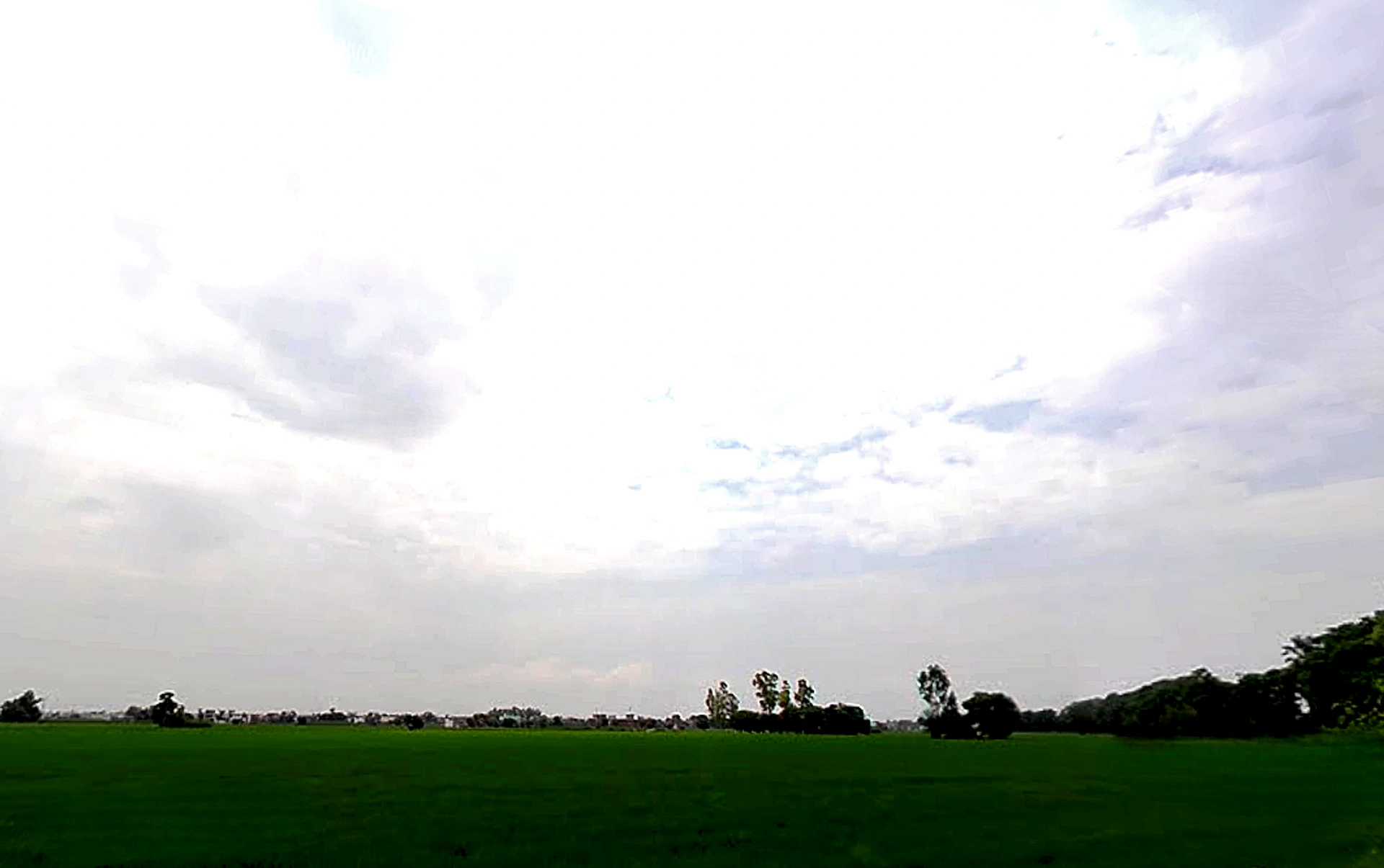 Rajpura, Punjab, India