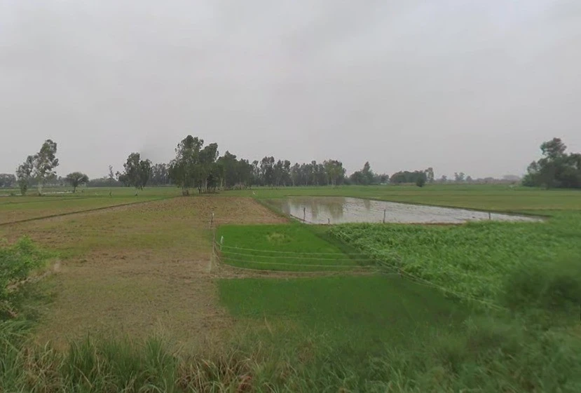 Dataganj, Uttar Pradesh 243635, India