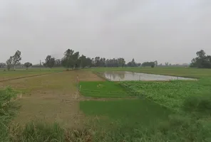 Dataganj, Uttar Pradesh 243635, India preview 3