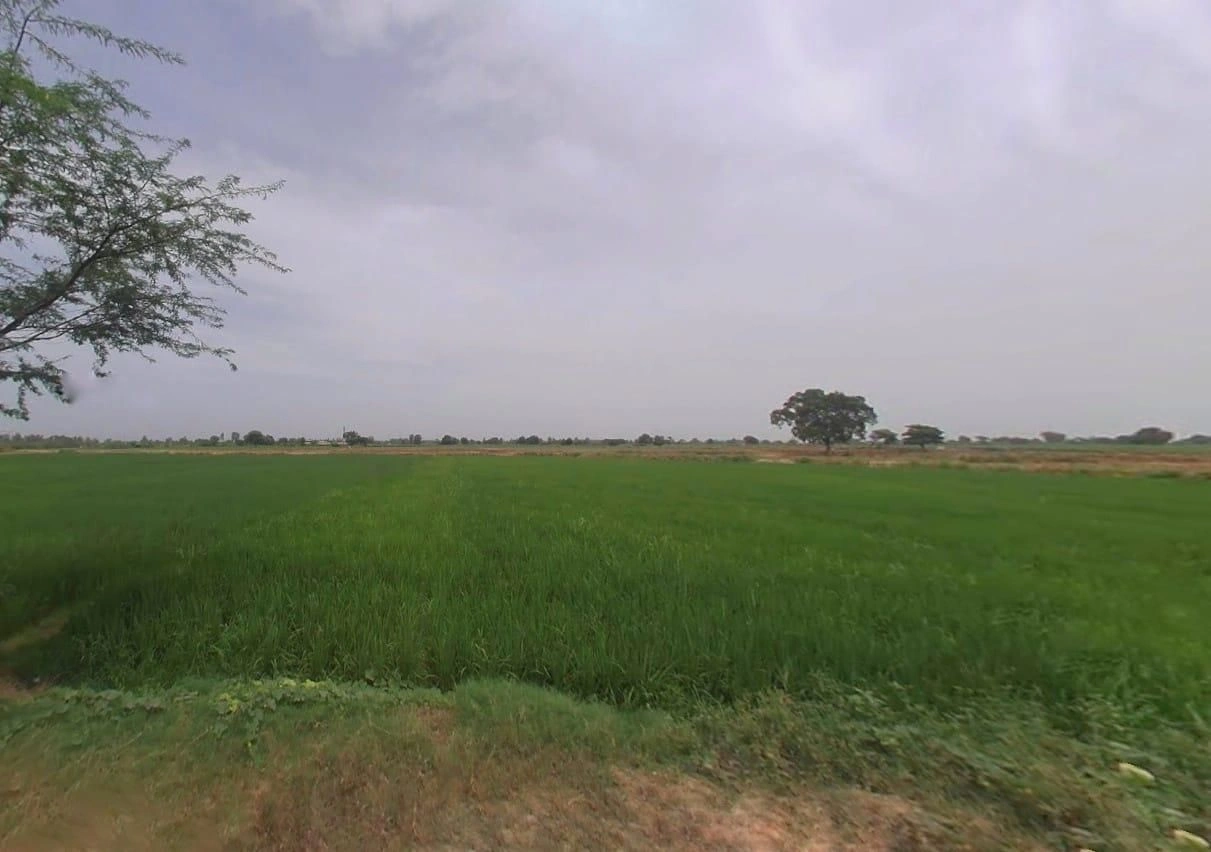 3XJX+49, Meerpur Pahasu, Uttar Pradesh 202136, India