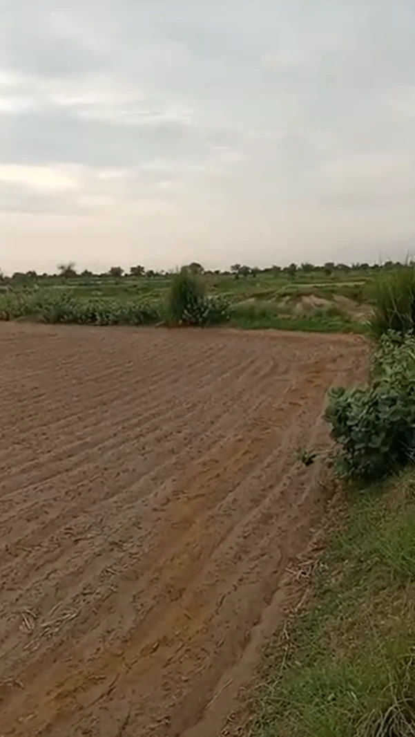 P2J7+QR Sambhariya, Jaipur, Rajasthan, India