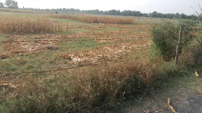 P675+X8 Dadera, Uttar Pradesh, India preview 2