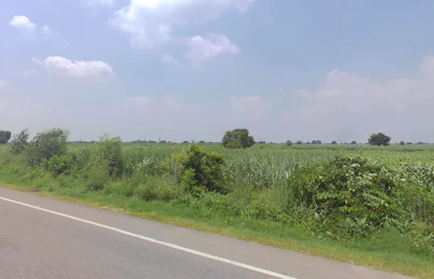 Budhana, Uttar Pradesh 251309, India